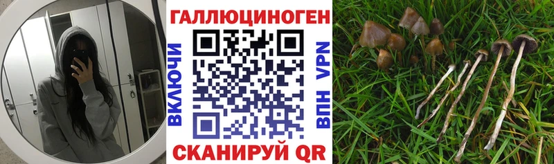 Псилоцибиновые грибы прущие грибы Усинск